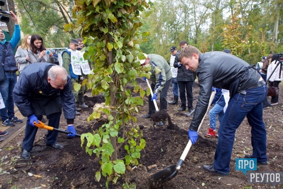 Гимназический парк посадили в Реутове. 17 сентября город присоединился к региональной акции «Наш лес. Посади своё дерево». ПроРеутов