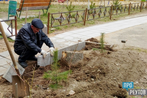 Управляющая компания помогла жителям Реутова посадить деревья. Субботник стал по-настоящему общегородским. ПроРеутов