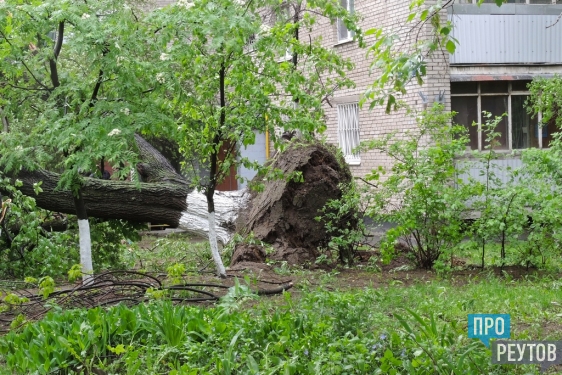 Сильнейший ураган обрушился на Реутов 29 мая. В городе создан оперативный штаб для борьбы с последствиями разбушевавшейся стихии. ПроРеутов
