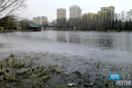 Пруд Реутова освободился ото льда в рекордный срок. Осталось провести уборку территории на общегородском субботнике. ПроРеутов