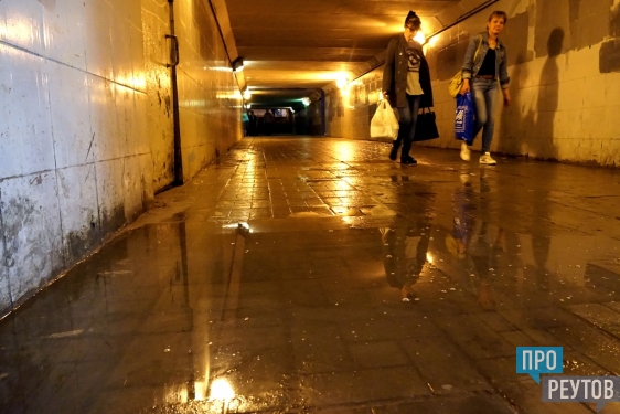 Железнодорожники открестились от «мокрого дела». Злополучный подземный переход под станцией Реутово поставил под угрозу здоровье пассажиров. ПроРеутов