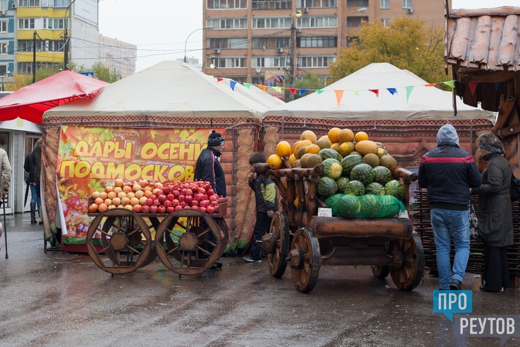 Проходящая ярмарка. Тематическая ярмарка. Ярмарки в Подмосковье. Осенние ярмарки в Подмосковье. Тематика для ярмарки.