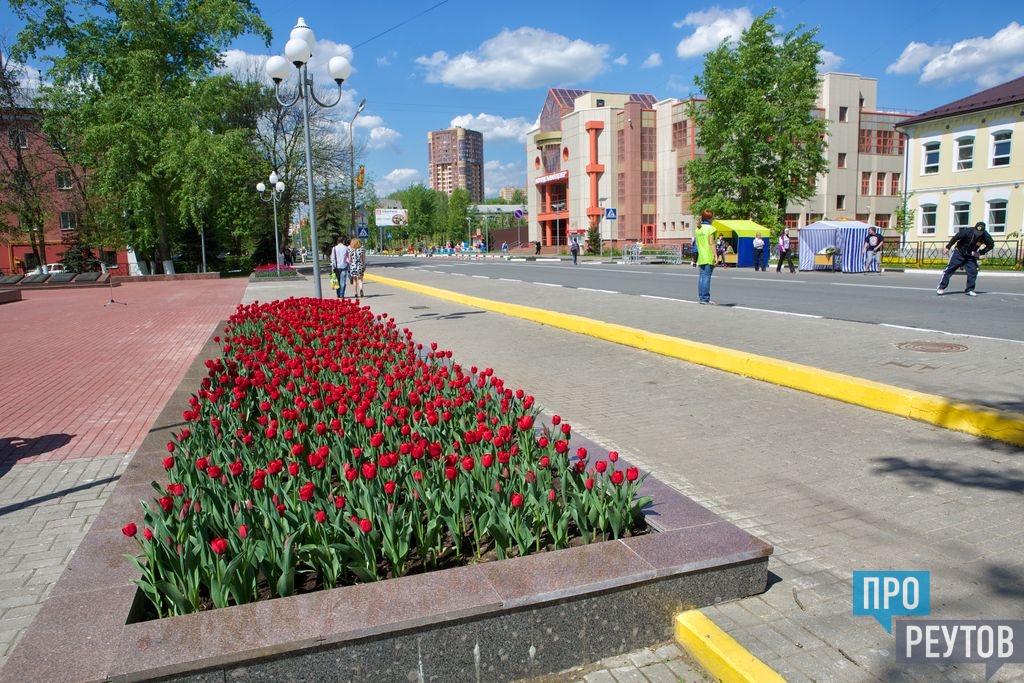 Реутов улица. Реутов город Московская область улица. Реутов лето. Пешеходная зона Реутов. Улицы города Реутов.