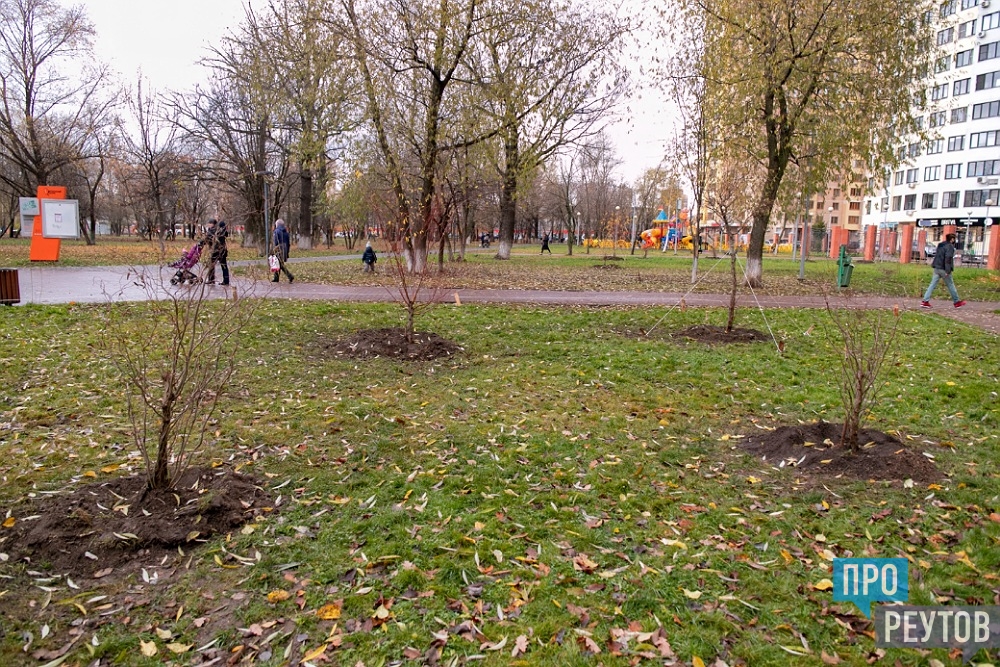 Реутов центр. Центральный городской парк Реутов. Реутов сквер. Парк в Реутове Юбилейный. Сцена в реутовском парке.