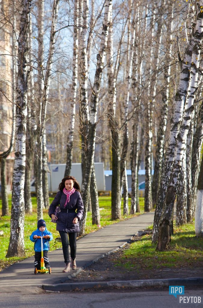 Мебель на парковой улице