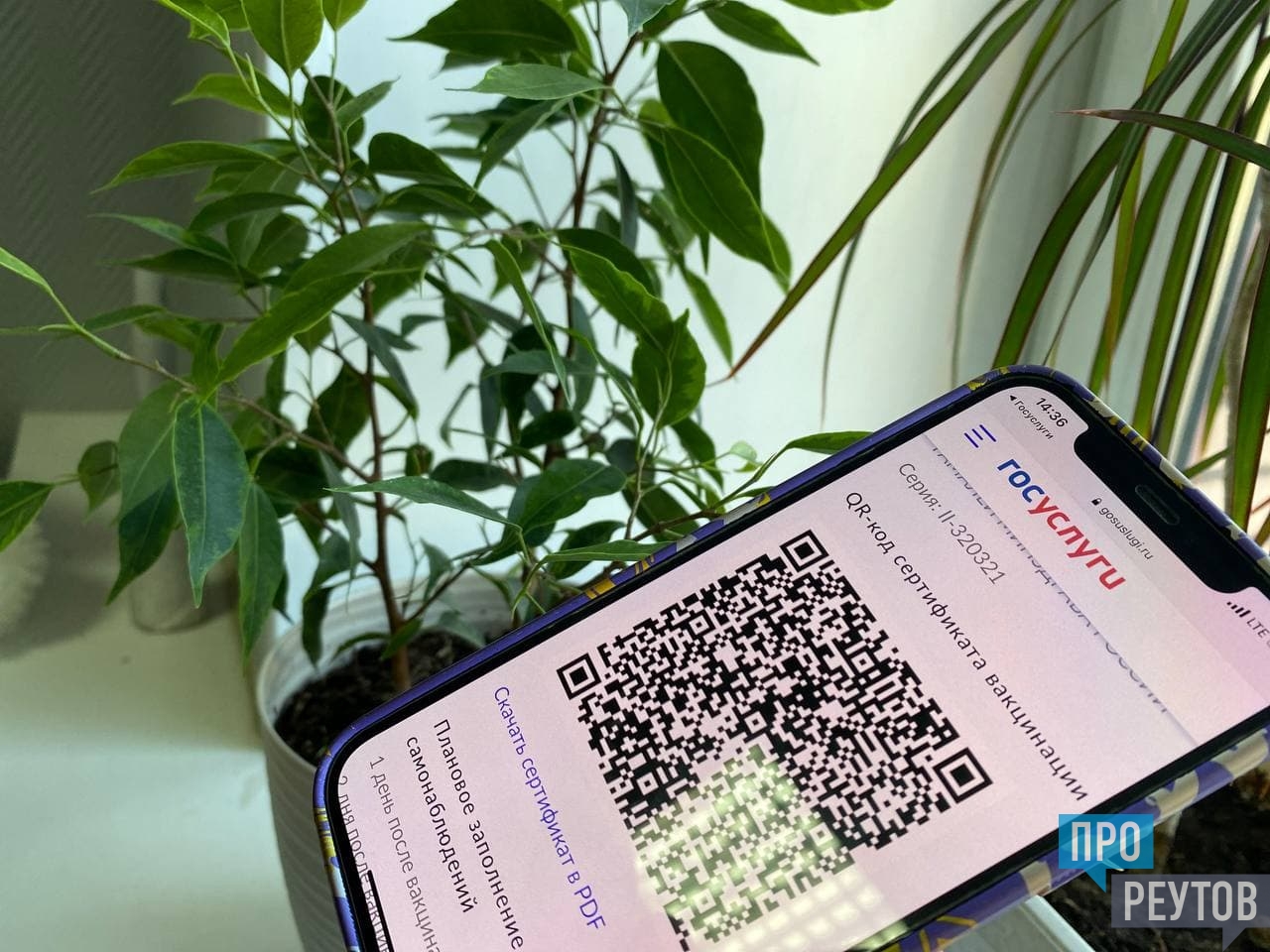 Фотографии Для Получения Qr