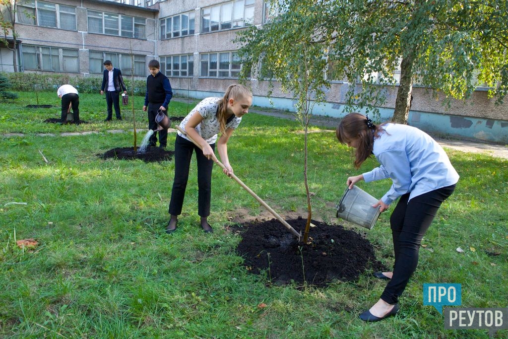 Школьники должны были посадить 200 деревьев они. Деревья возле школы. Высадка деревьев у школы. Школьники осадка деревьев. Школьники сажают деревья.